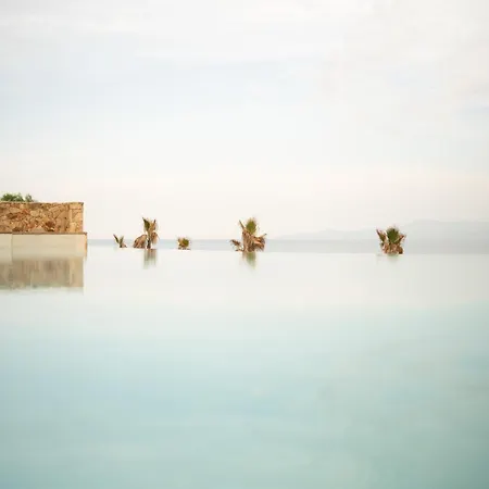 Myra Kavala